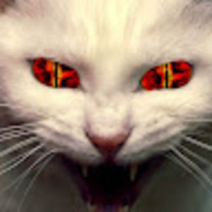 Meet your Posher, Liane